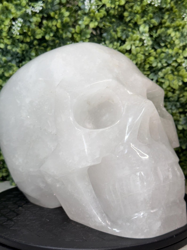 23 LB. Clear Quartz Skull Carving, Life Size, Expertly Hand-Carved Statement Piece