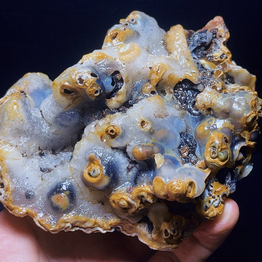 986G Natural Gobi Agate Eyes Agate Crystal Stone Mineral SpecimenHealing