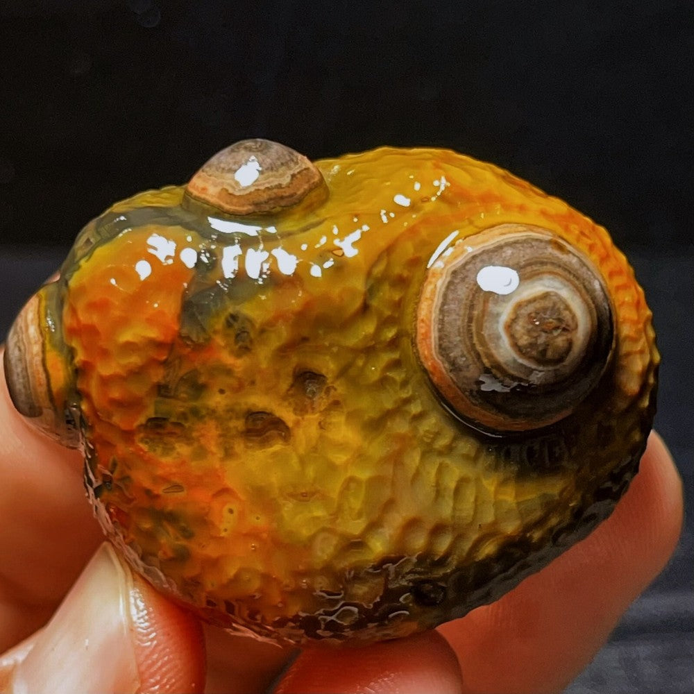 Natural Gobi Agate Eyes Agate Crystal Stone Healing