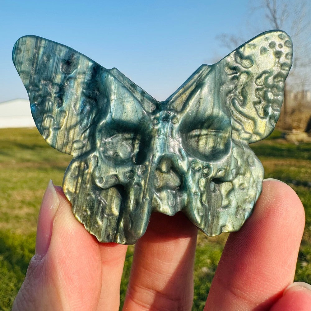 Natural Labradorite Hand Carved Butterfly Skull Quartz Crystal Specimen Healing