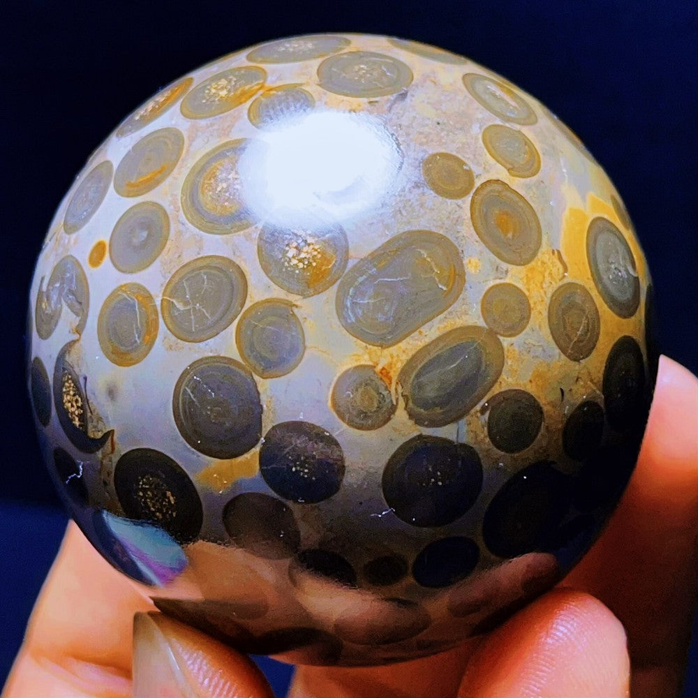 274G Natural Colorful Leopard Stone Eyes Agate Sphere Ball Crystal Stone Healing