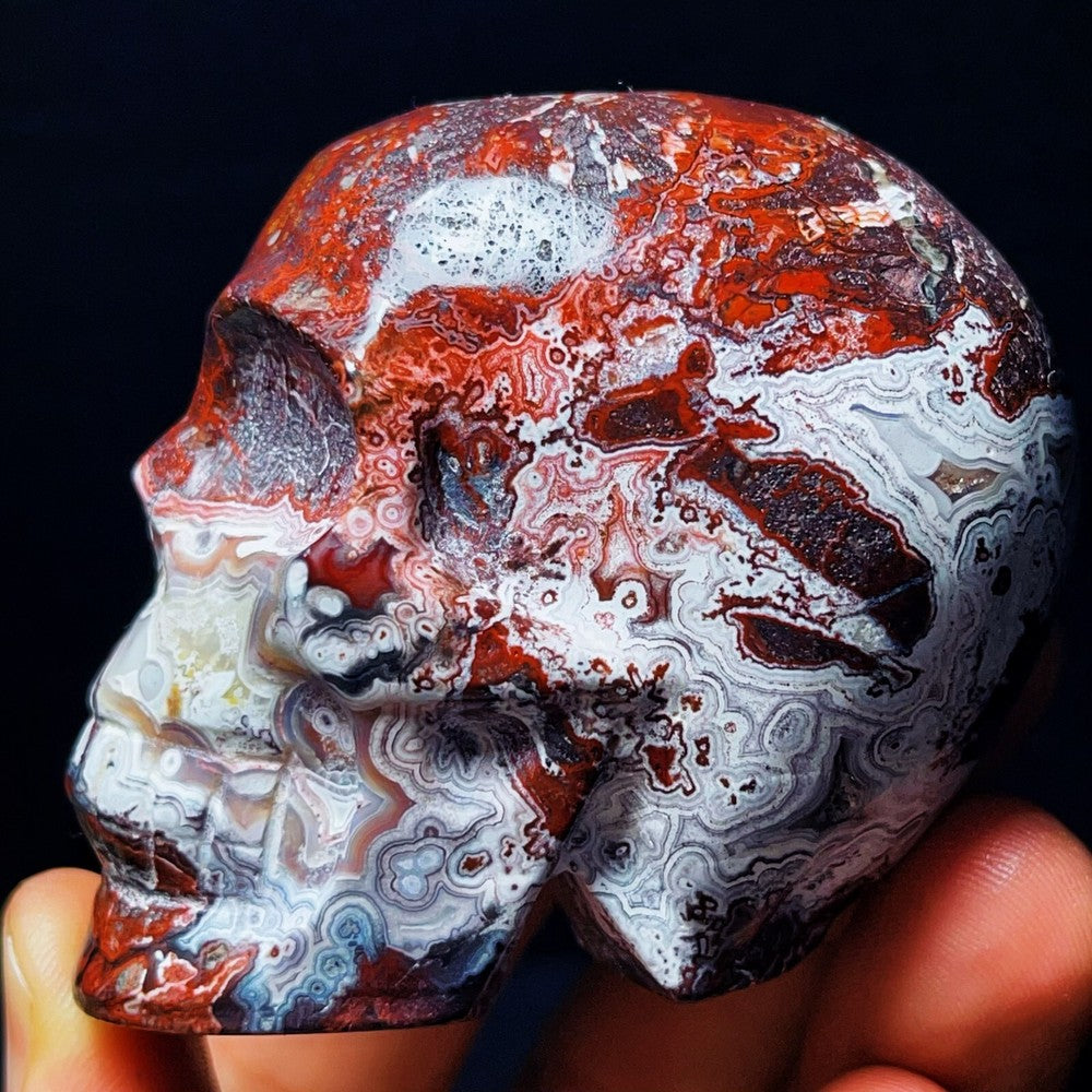 696G Handcarved skull Mexico Crazy Agate Crystal Healing