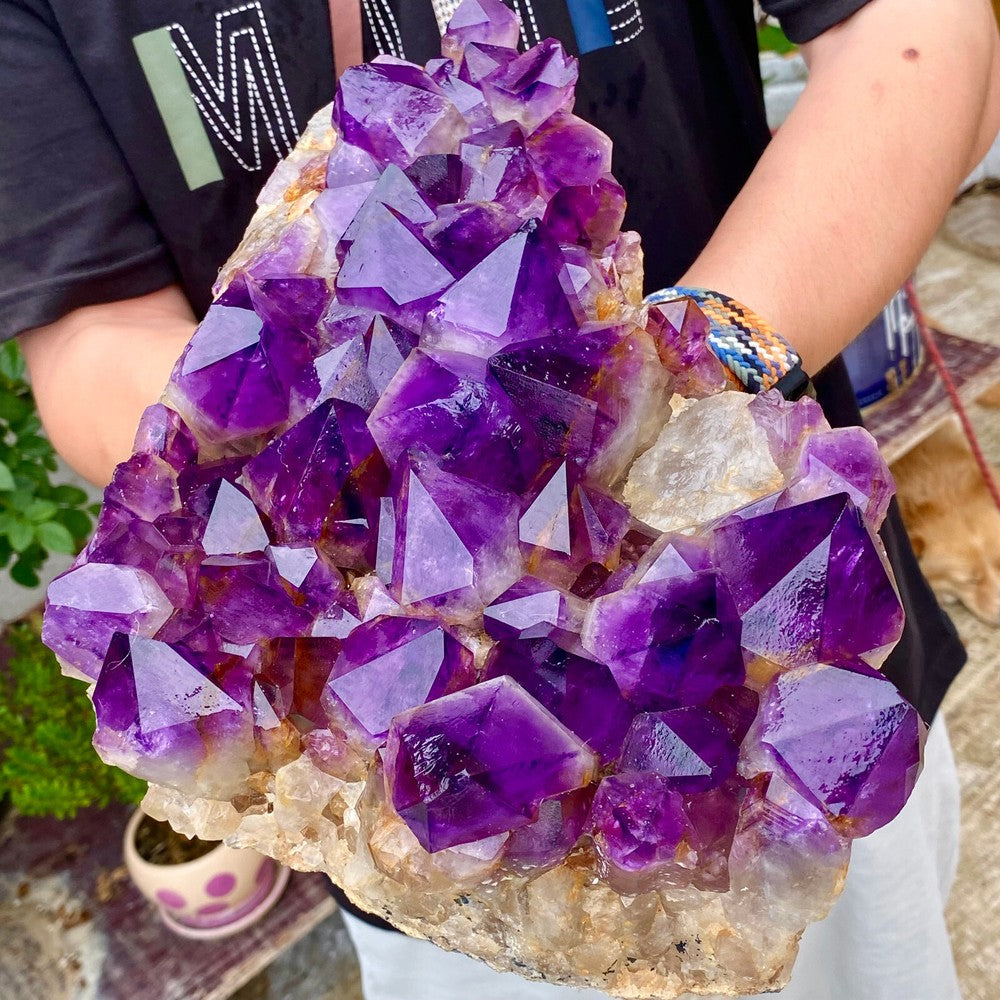 11.12LB Natural Amethyst geode quartz cluster crystal specimen Healing
