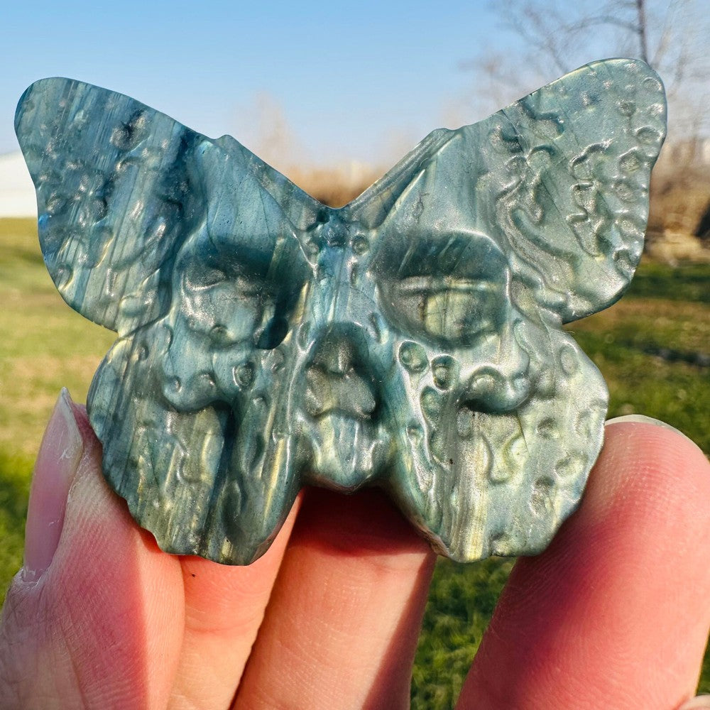Natural Labradorite Hand Carved Butterfly Skull Quartz Crystal Specimen Healing
