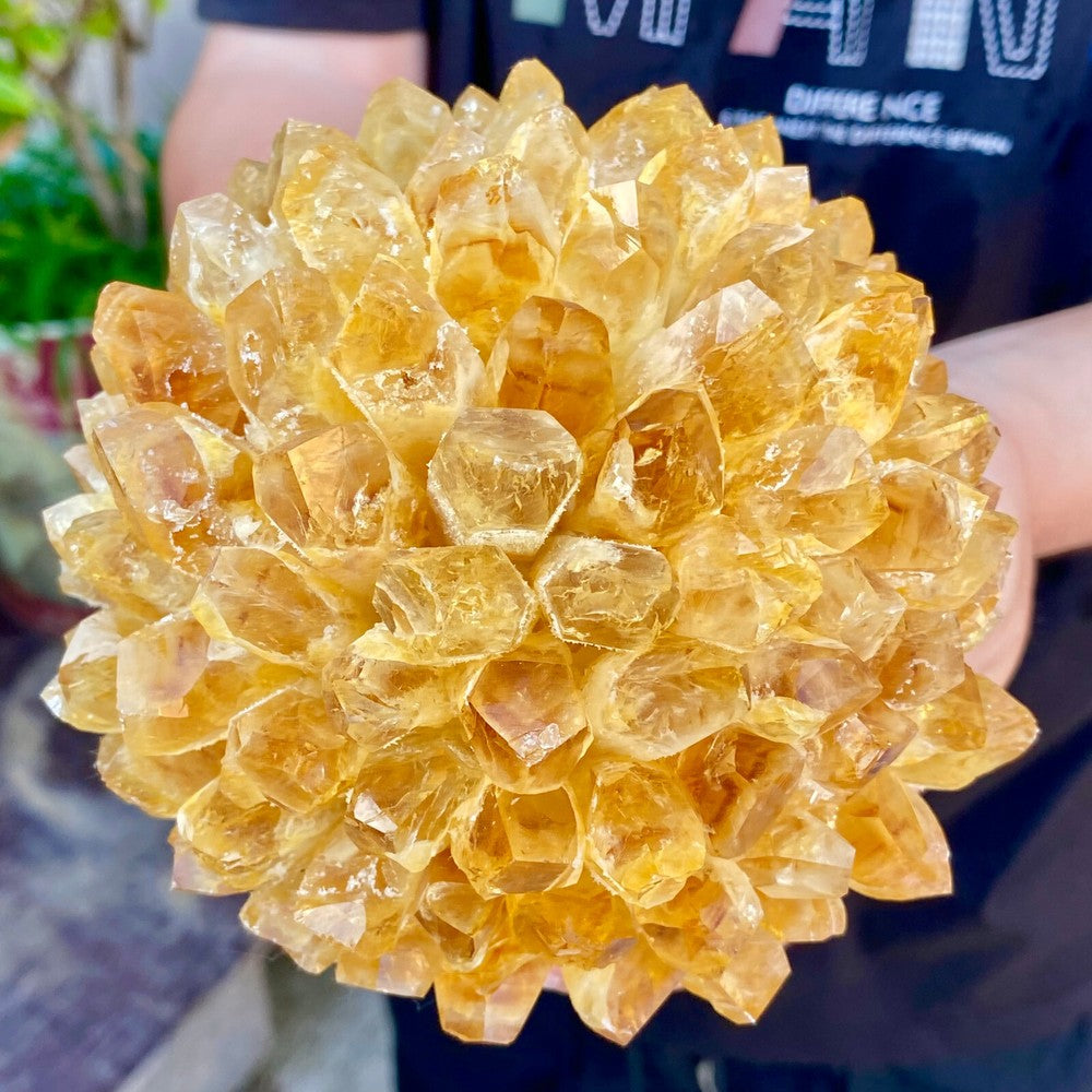 2.82LB Newly Discovered Yellow Phantom Quartz Crystal Cluster Mineral Sample.