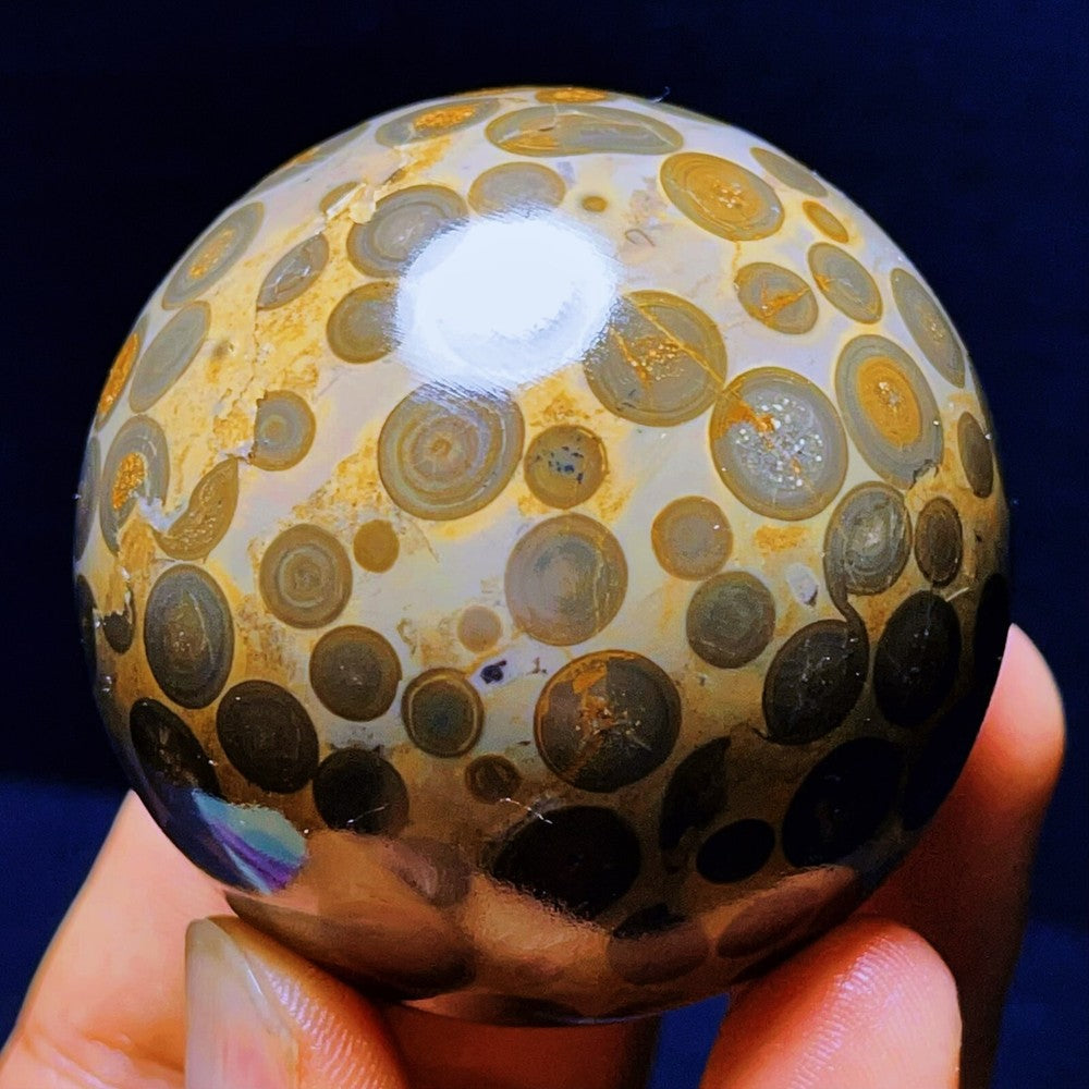 274G Natural Colorful Leopard Stone Eyes Agate Sphere Ball Crystal Stone Healing
