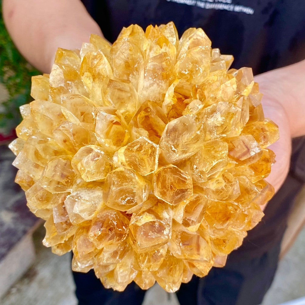 2.82LB Newly Discovered Yellow Phantom Quartz Crystal Cluster Mineral Sample.