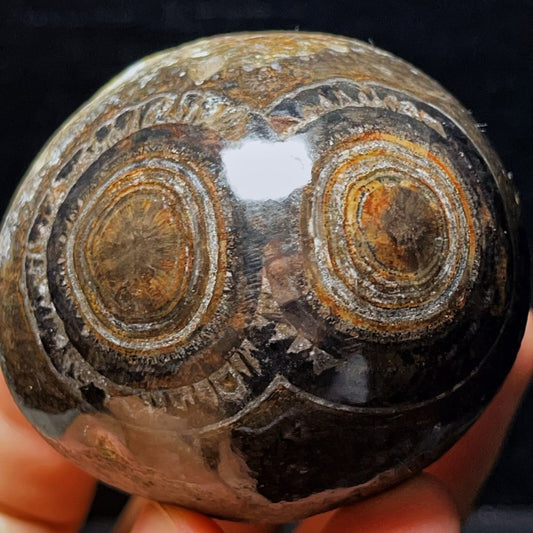Agate Gobi naturelle 303 g, pierre de cristal d'agate pour les yeux, guérison