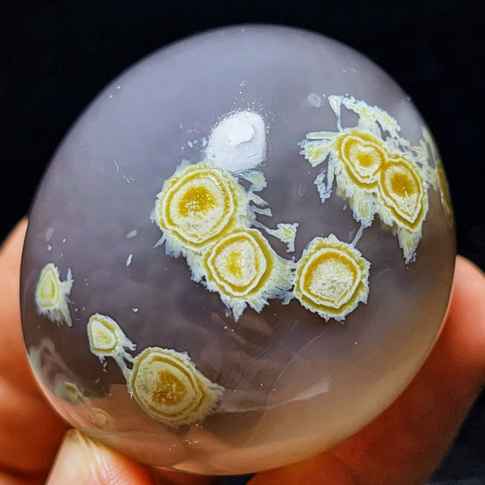 RARE 157G Natural Inner Mongolia Gobi Agate Eyes Agate Crystal Stone