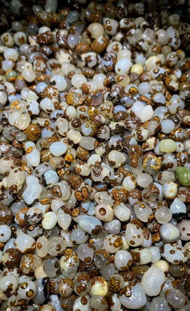 700G Natural China's Mini Gobi Desert Gobi Agate Eyes Agate Crystal Healing