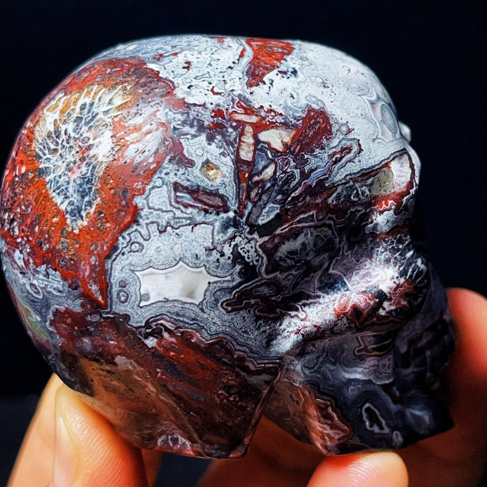 830G Handcarved Skull Mexico Lace Agate Crystal Healing