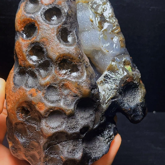 Spécimen minéral d'agate naturelle du désert de Gobi