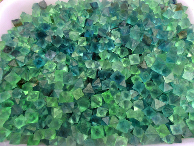 Plus de 1 000 g de magnifiques cristaux octaédriques de fluorite bleus et verts
