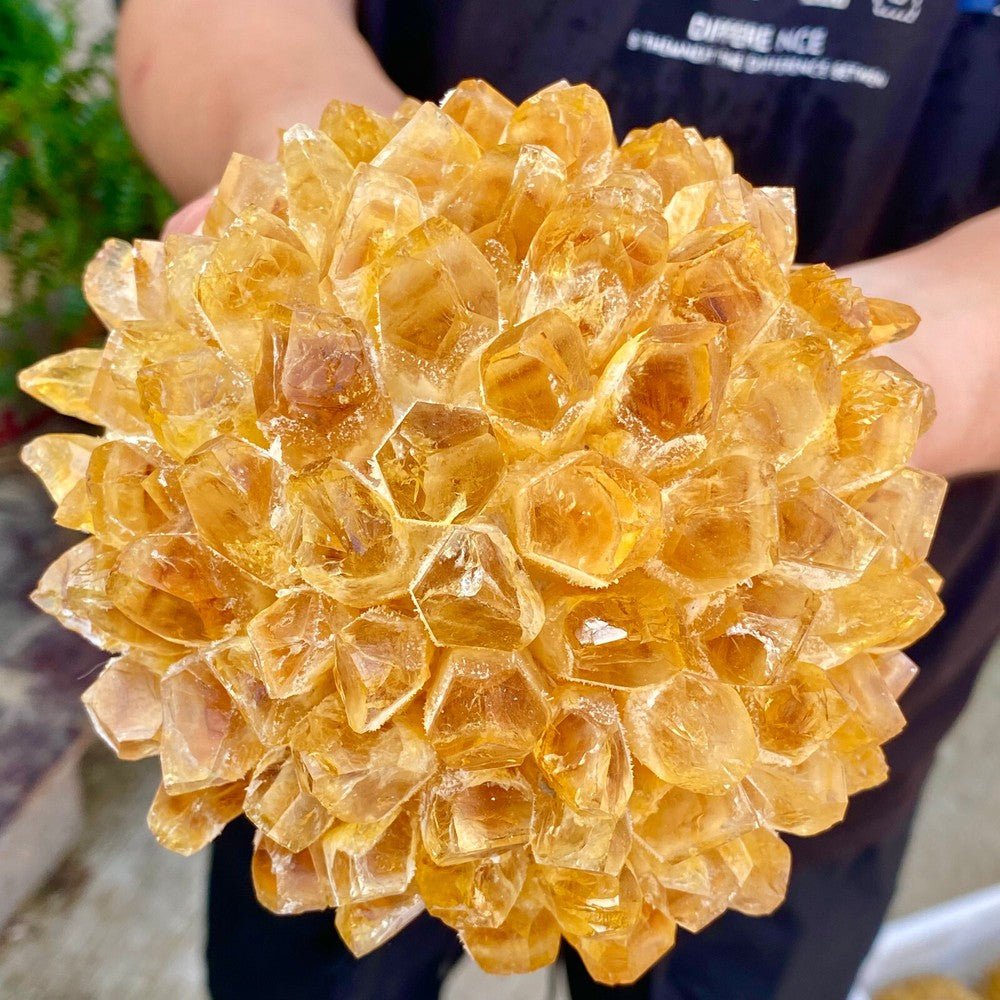 3.29LB Newly Discovered Yellow Phantom Quartz Crystal Cluster Mineral Sample.