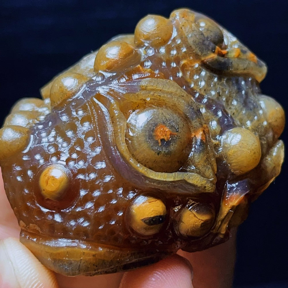 107G Natural China's Gobi Desert Gobi Agate Eyes Agate Crystal Healing