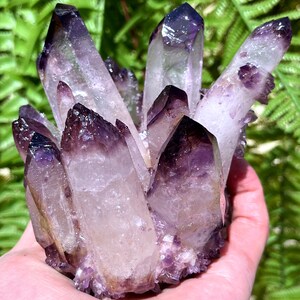 purple Cactus Quartz Cluster with Phantom Inclusions/Angel Aura Quartz Crystal Cluster/Reiki/Meditation/self stand