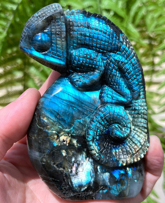 Hand carved Sheen Labradorite Crystal Quartz lizard/Shiny Polished Labradorite