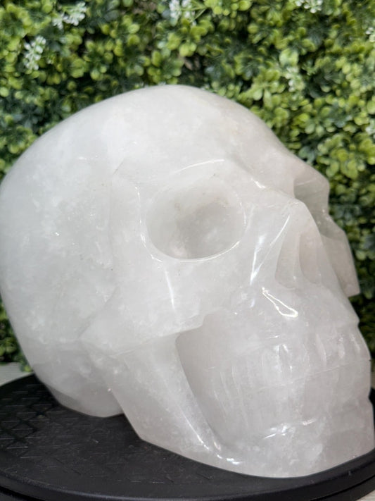 23 LB. Clear Quartz Skull Carving, Life Size, Expertly Hand-Carved Statement Piece