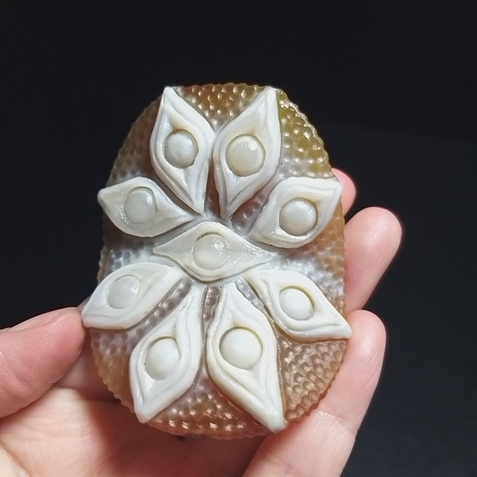 Natural Beautiful Gobi Agate Eyes Agate Stone Healing Special Gift
