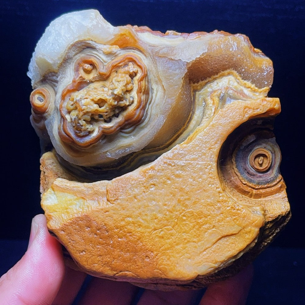 1051G Natural Gobi Agate Eyes Agate Crystal Stone Madagascar