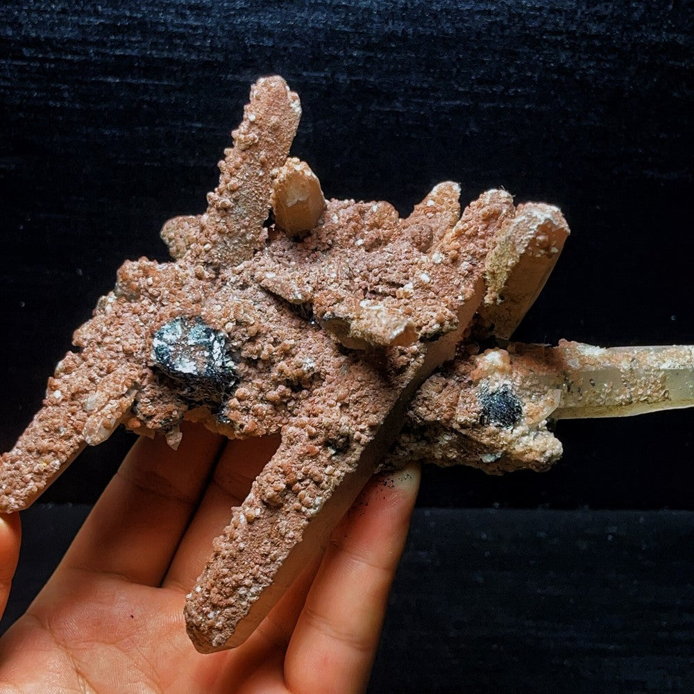 454G Phantom Quartz black tourmaline mineral symbiotic body
