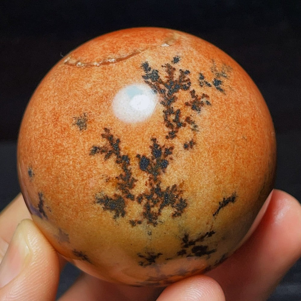 Natural Polished Ocean Jasper Sphere Ball Crystal Stone Healing