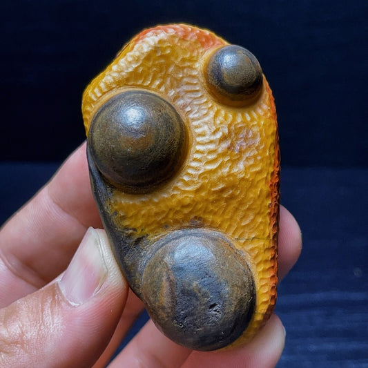 Natural Gobi Agate Eyes Agate Crystal Stone Healing