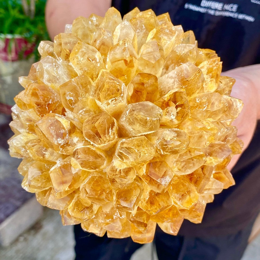 2.82LB Newly Discovered Yellow Phantom Quartz Crystal Cluster Mineral Sample.