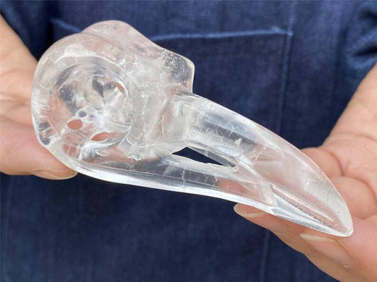 3"+ Natural Clear Quartz Carved crow Skull Quartz Crystal Skull home decor 1PC