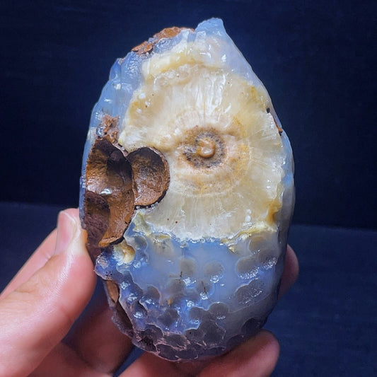 531G Natural China's Gobi Desert Gobi Agate Eyes Agate Crystal Healing