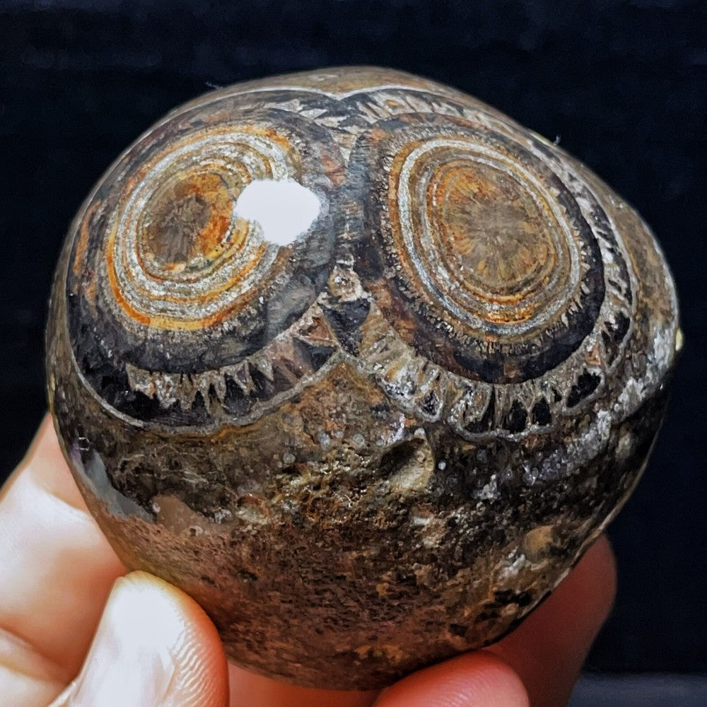 Agate Gobi naturelle 303 g, pierre de cristal d'agate pour les yeux, guérison 