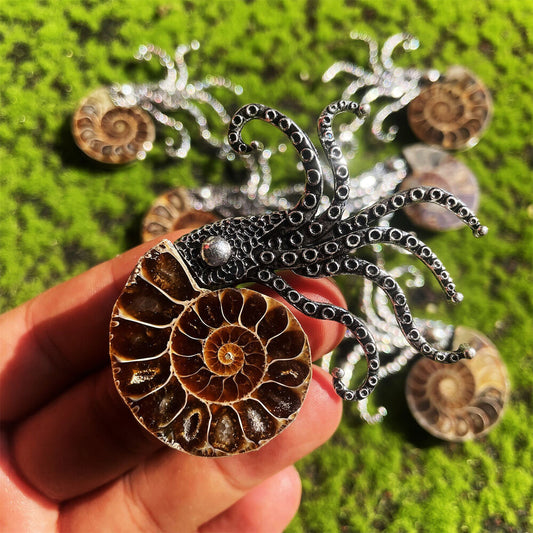 Natural Ammonite Fossil Conch Specimen Healing brooch 1pc