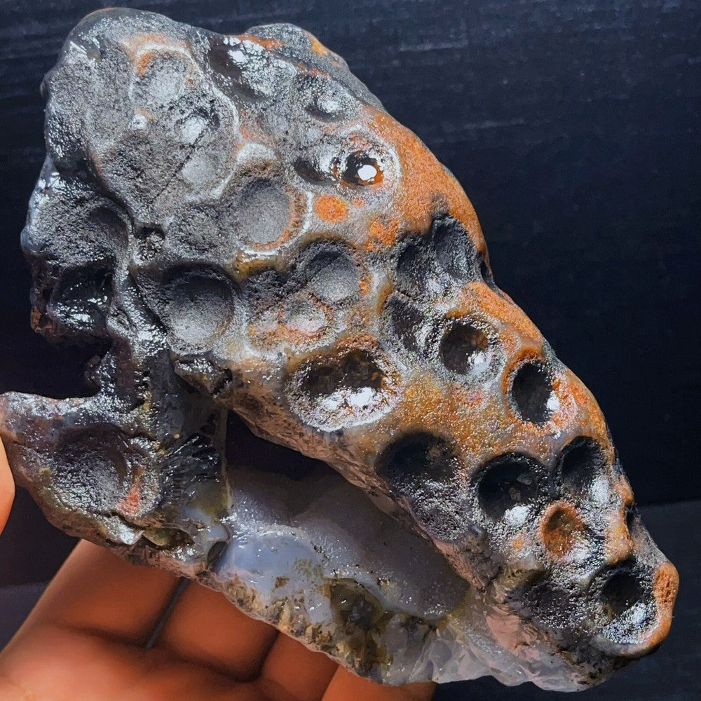 Natural Gobi Desert Agate Eyes Agate Mineral Specimen