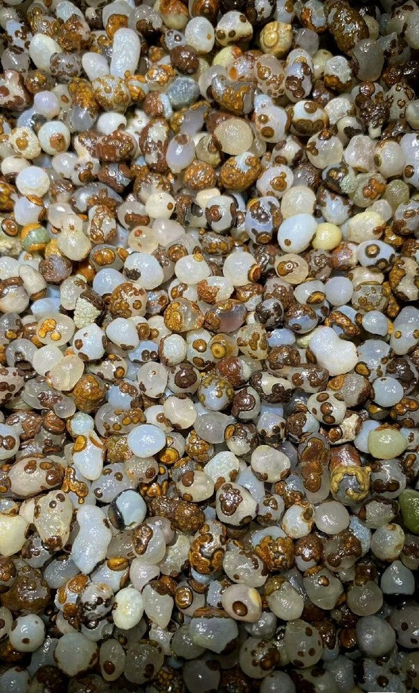 700G Natural China's Mini Gobi Desert Gobi Agate Eyes Agate Crystal Healing
