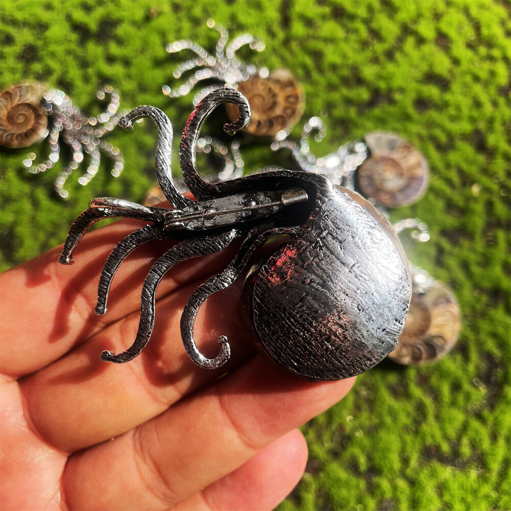 Natural Ammonite Fossil Conch Specimen Healing brooch 1pc