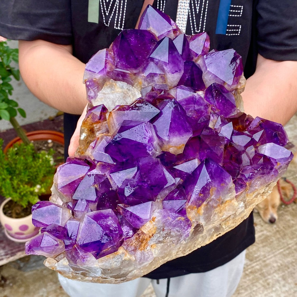 11.12LB Natural Amethyst geode quartz cluster crystal specimen Healing