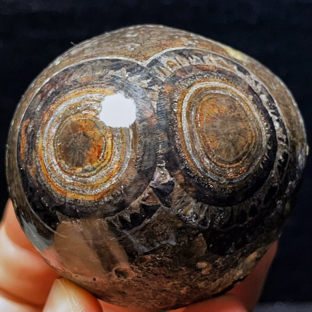 Agate Gobi naturelle 303 g, pierre de cristal d'agate pour les yeux, guérison 