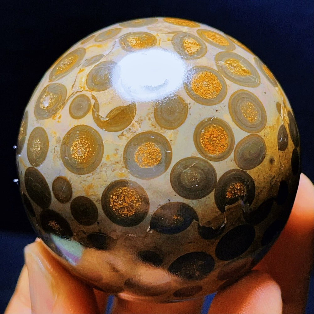 274G Natural Colorful Leopard Stone Eyes Agate Sphere Ball Crystal Stone Healing