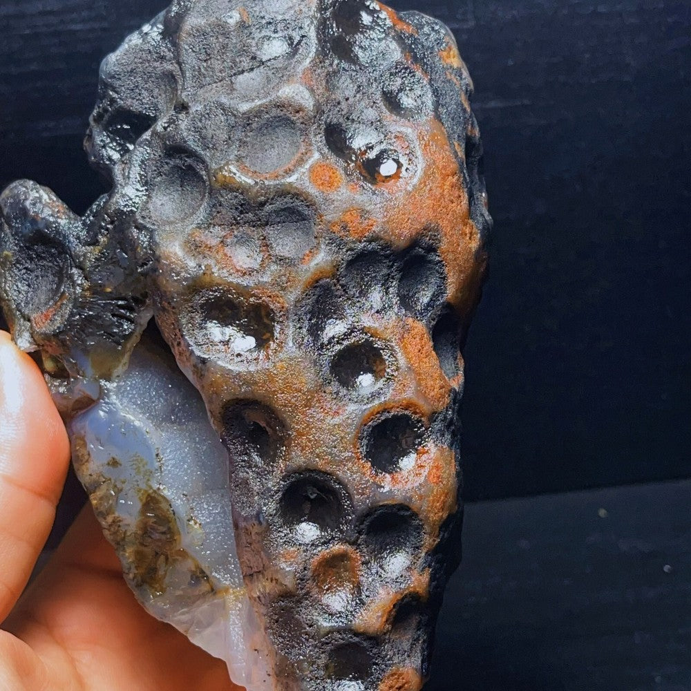 Natural Gobi Desert Agate Eyes Agate Mineral Specimen