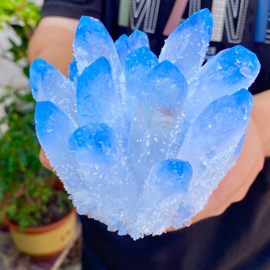 597G Newly discovered blue Phantom Quartz Crystal Cluster mineral samples.