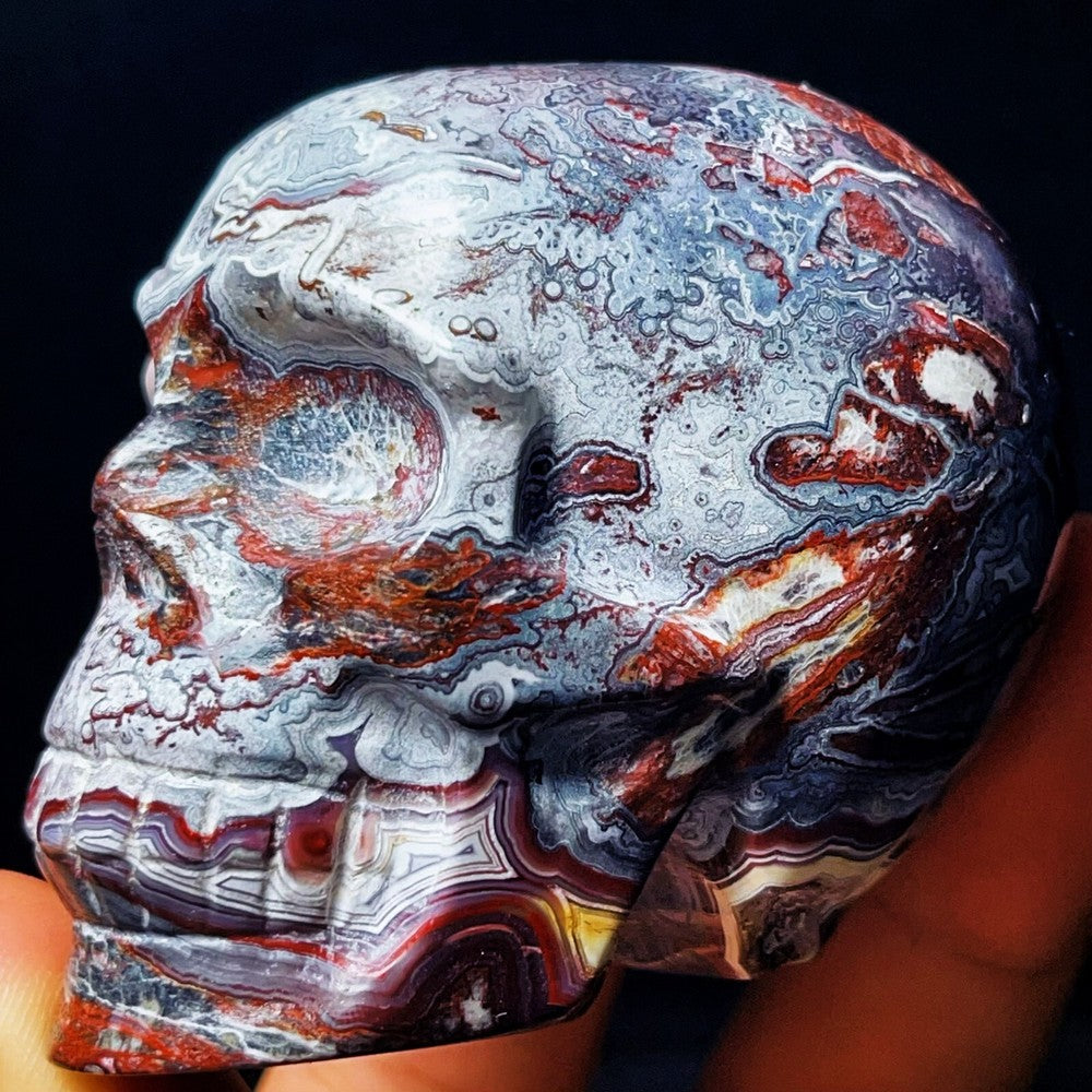 830G Handcarved Skull Mexico Lace Agate Crystal Healing