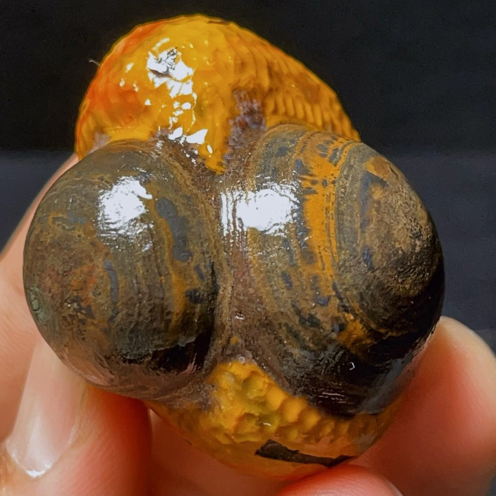 Natural Gobi Agate Eyes Agate Crystal Stone Healing