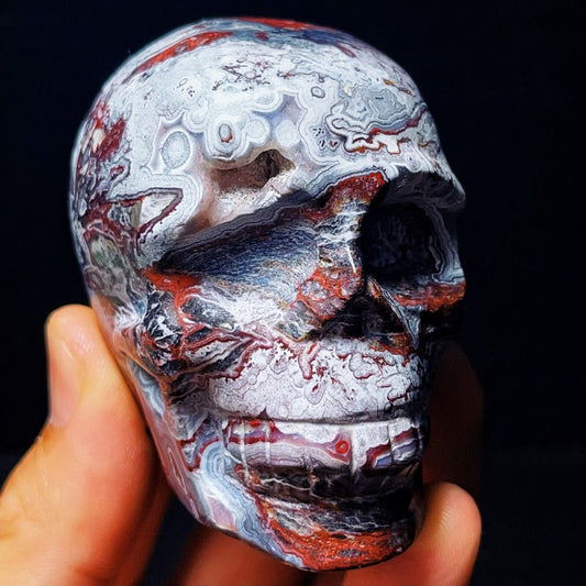 830G Handcarved Skull Mexico Lace Agate Crystal Healing