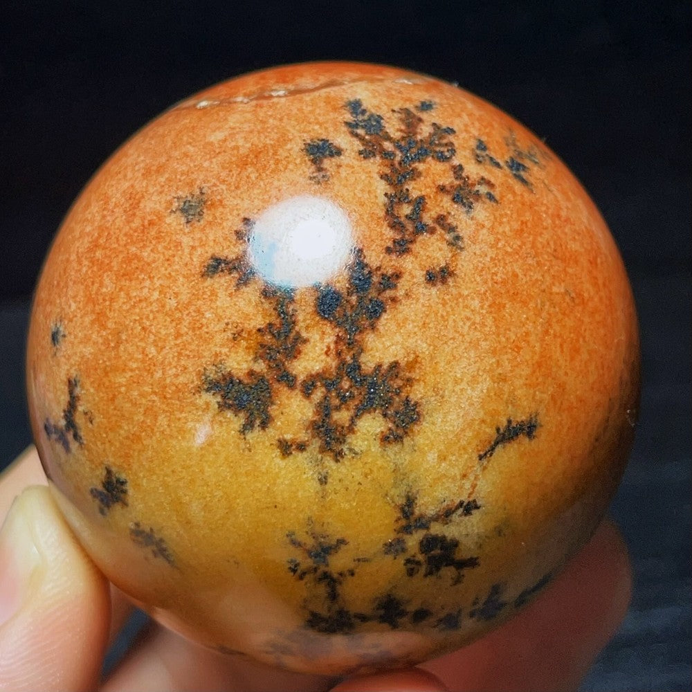 Natural Polished Ocean Jasper Sphere Ball Crystal Stone Healing