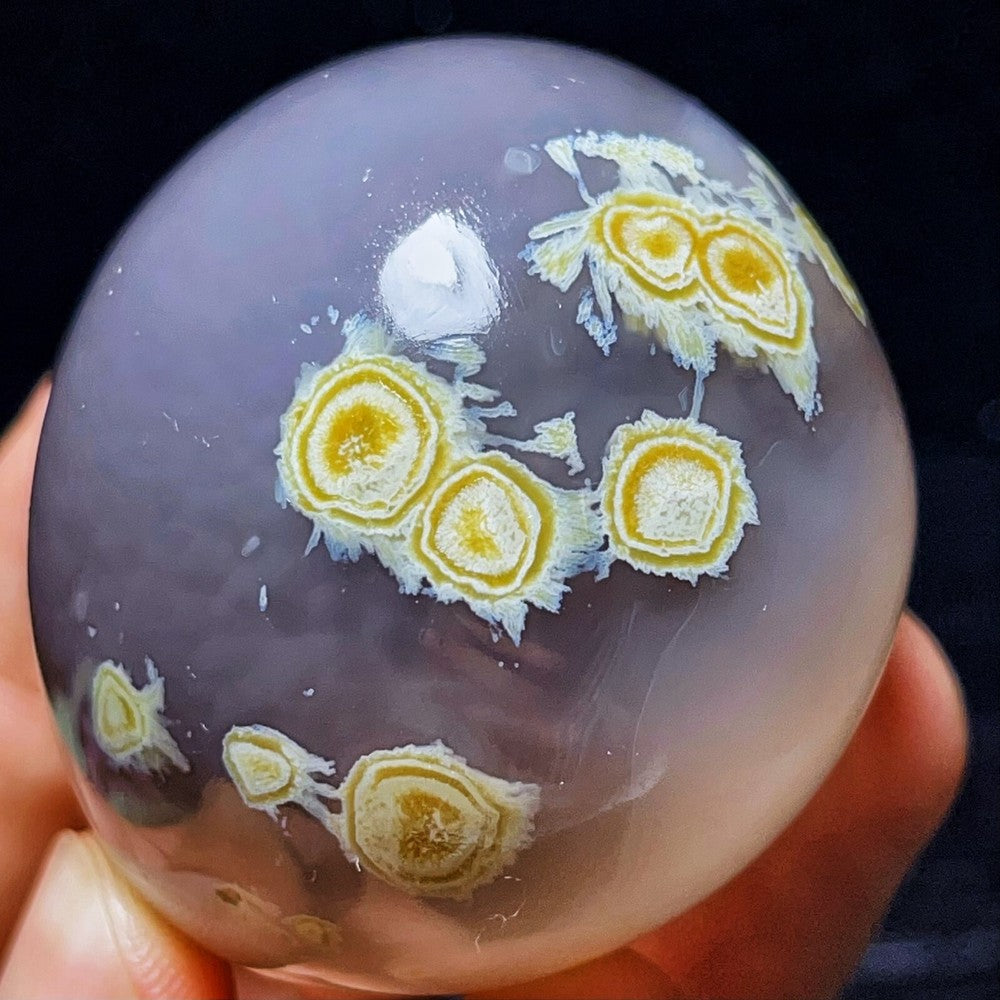 RARE 157G Natural Inner Mongolia Gobi Agate Eyes Agate Crystal Stone