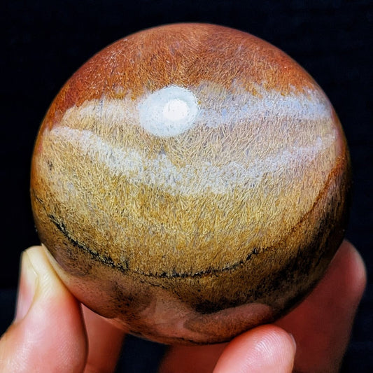 348G Natural Beautiful Golden Hair Rutilated Agate Crystal Sphere Healing