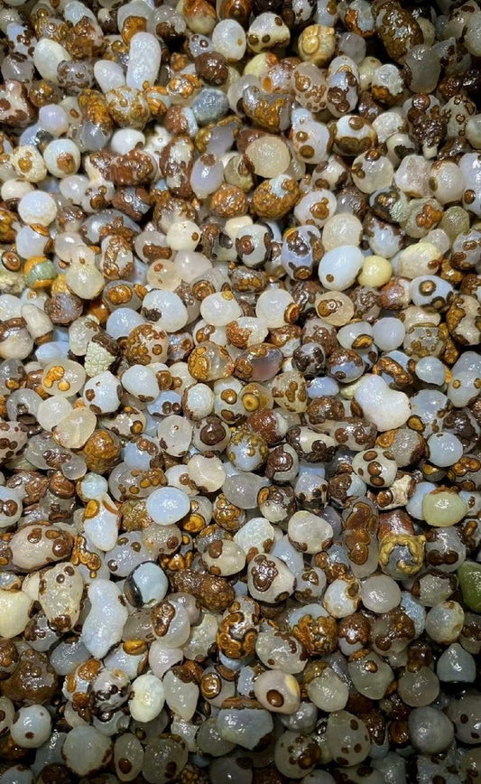 700G Natural China's Mini Gobi Desert Gobi Agate Eyes Agate Crystal Healing