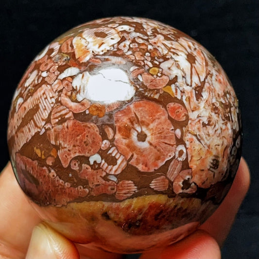 283G Natural Colorful Agate And Shell Symbiotic Sphere/Ball Healing