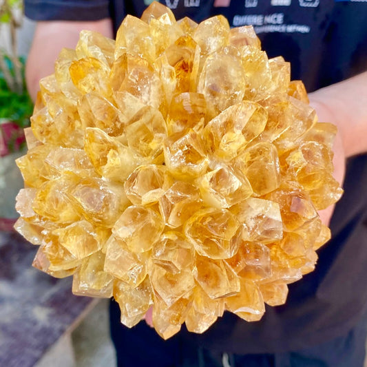 2.82LB Newly Discovered Yellow Phantom Quartz Crystal Cluster Mineral Sample.