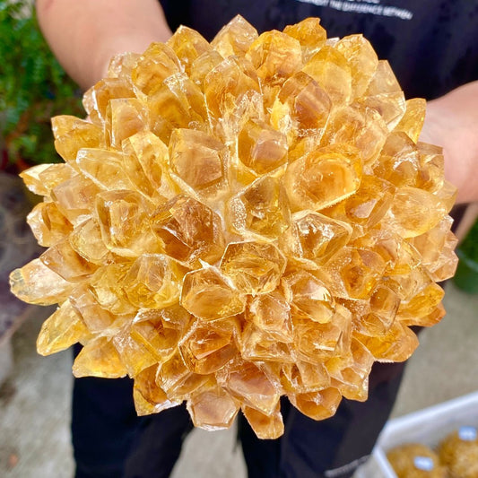 3.29LB Newly Discovered Yellow Phantom Quartz Crystal Cluster Mineral Sample.